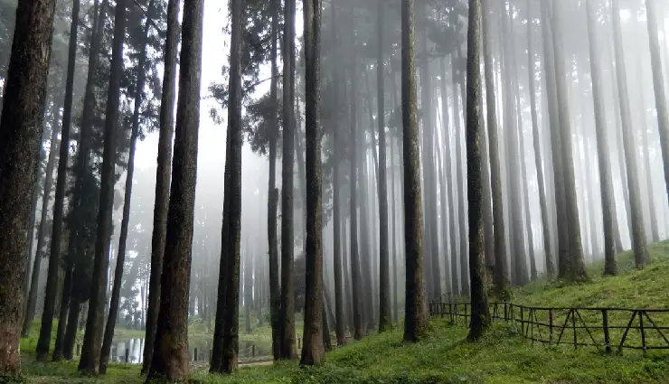 kodaikanal travel guide,places to visit in kodaikanal,kodaikanal sightseeing,hill stations in tamil nadu,kodaikanal tourist attractions,palani hills tourism,kodaikanal waterfalls,things to do in kodaikanal,nature trips in kodaikanal,kodaikanal for adventure lovers