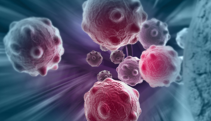 health benefits of pine nuts,Health tips,fitness tips,pine nuts