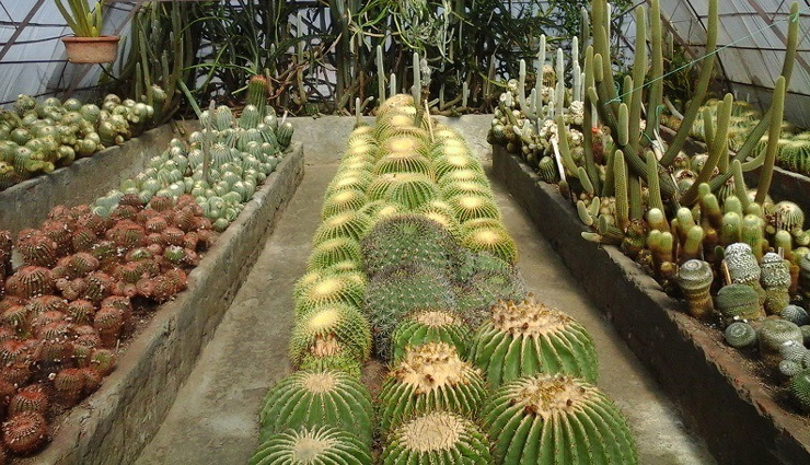 kalimpong,tourist places you must visit in kalimpong,6 tourist places you must visit in kalimpong,holidays in kalimpong