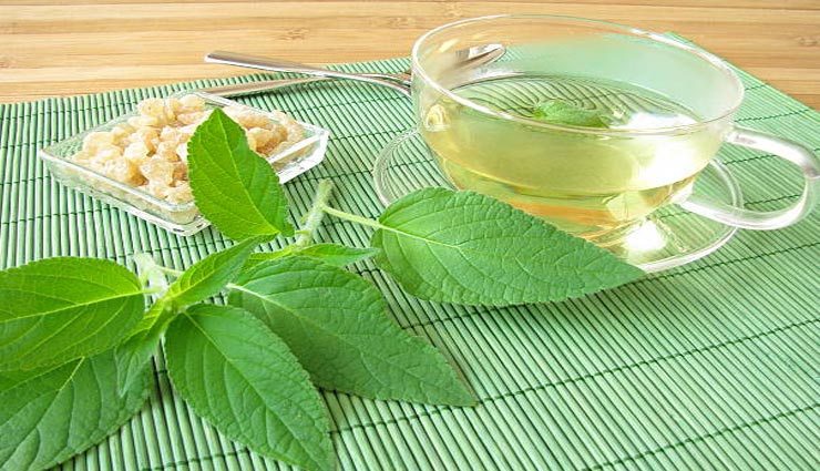 pineapple sage tea,benefits of pineapple sage tea,health benefits,Health tips