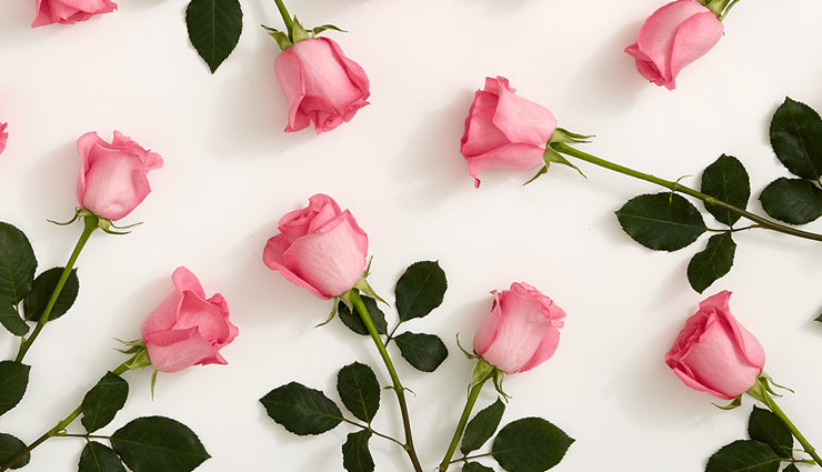 valentines day,valentines week,rose day,roses,color of roses