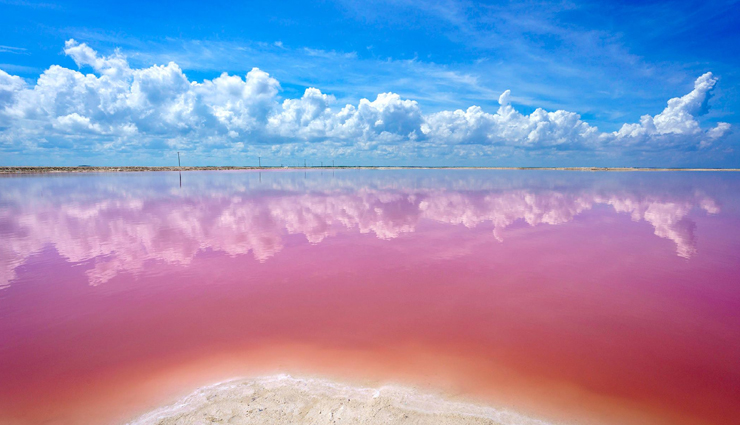 natural pink lakes,natural pink lakes in the world,pink lakes,lake hillier,australia,lake rose,senegal,lake coloradas,mexico,las salinas de torrevieja,spain,lake masazir,azerbaijan,lake natron,tanzania,hutt lagoon,australia