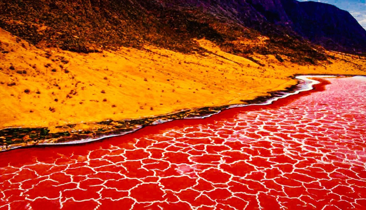 natural pink lakes,natural pink lakes in the world,pink lakes,lake hillier,australia,lake rose,senegal,lake coloradas,mexico,las salinas de torrevieja,spain,lake masazir,azerbaijan,lake natron,tanzania,hutt lagoon,australia
