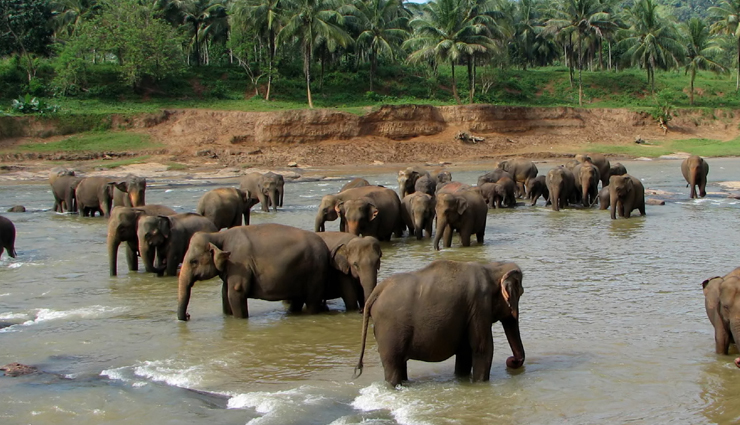 tourist attractions in sri lanka,sri lanka travel destinations,must-visit places in sri lanka,sri lanka historical sites,natural wonders in sri lanka,sri lanka cultural landmarks,beautiful beaches in sri lanka,sri lanka scenic spots,popular tourist spots sri lanka,sri lanka unesco heritage sites