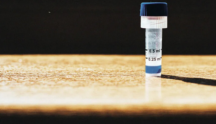 health benefits of eating pista,pista during pregnancy,pregnancy tips,Health tips,fitness tips