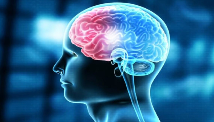 pistachios weight loss recipes,pistachio diet recipes,recipes for weight loss with pistachios,healthy pistachio dishes for weight management,pistachio recipes for shedding pounds,pistachio-based weight loss meals,pistachio recipes to help lose weight,pistachio weight loss diet ideas,low-calorie pistachio recipes for weight reduction,incorporating pistachios into weight loss diet