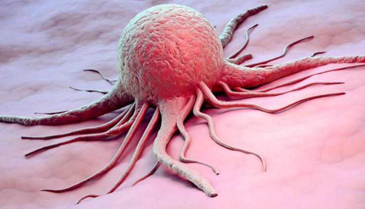 pistachios weight loss recipes,pistachio diet recipes,recipes for weight loss with pistachios,healthy pistachio dishes for weight management,pistachio recipes for shedding pounds,pistachio-based weight loss meals,pistachio recipes to help lose weight,pistachio weight loss diet ideas,low-calorie pistachio recipes for weight reduction,incorporating pistachios into weight loss diet