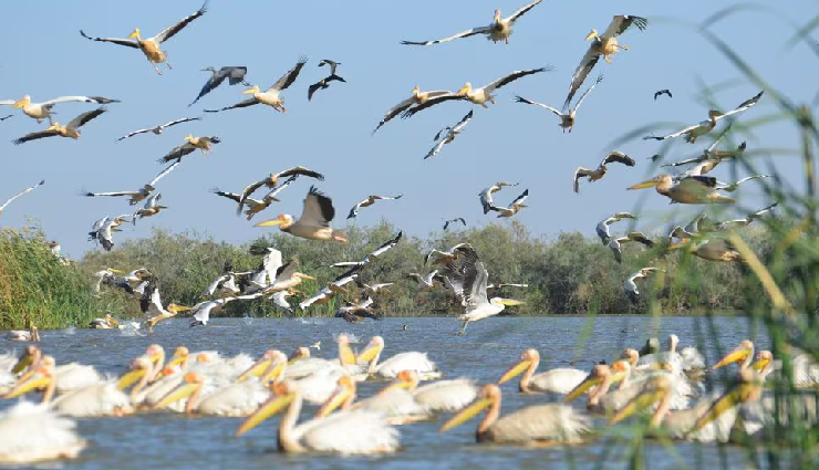 lakshadweep island advantages,unique features of lakshadweep,lakshadweep vs other islands,best island holiday destination,lakshadweep attractions,exotic islands in india,unexplored island paradises,lakshadweep travel benefits,why choose lakshadweep for holidays,island beauty of lakshadweep