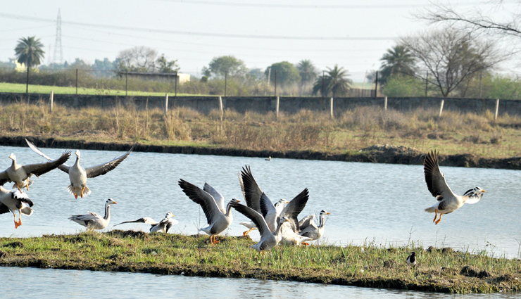 places to keep you busy in gurugram,holiday,travel,tourism