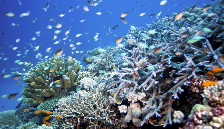 coolest places to visit,must visit places,places before you die,grand canyon,dead sea,pamukkale,hitachi seaside park,meteora,greece,great barrier reef