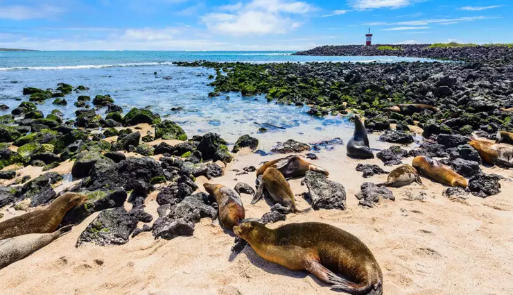 6 Places on Earth You Need To Visit Before The Disappear