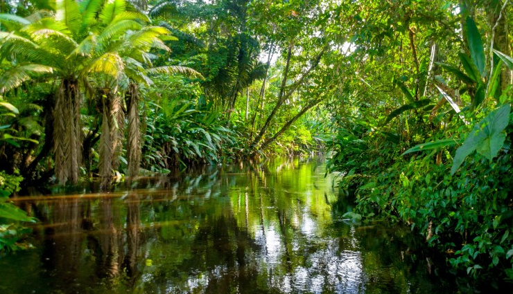 places to visit before disappear,places around the world,madagascar,maldives,great barrier reef,dead sea,amazon rainforest,mt kilimanjaro