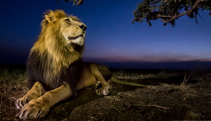 5 Places For Amazing Wildlife Photography in The World 