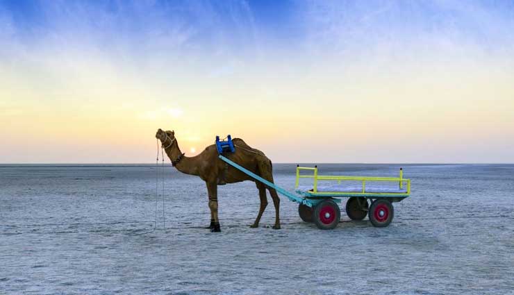 gir forest national park,sabarmati ashram,dwarkadhish temple,the great rann of kutch,akshardham temple,places to visit in gujarat,gujarat tourism