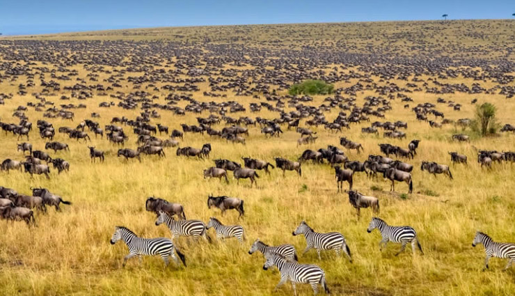 maasai mara,david sheldrick wildlife trust,aberdare ranges waterfalls,cradle of mankind,ol pejeta conservancy,places in kenya,kenya,attractions in kenya