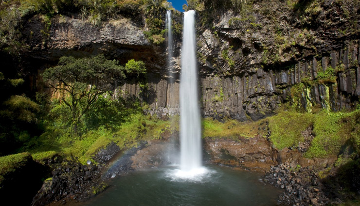 maasai mara,david sheldrick wildlife trust,aberdare ranges waterfalls,cradle of mankind,ol pejeta conservancy,places in kenya,kenya,attractions in kenya