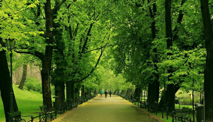 market square,wawel castle,planty park,barbican,florianska street,krakow,poland,places to visit in krakow,attractions in krakow