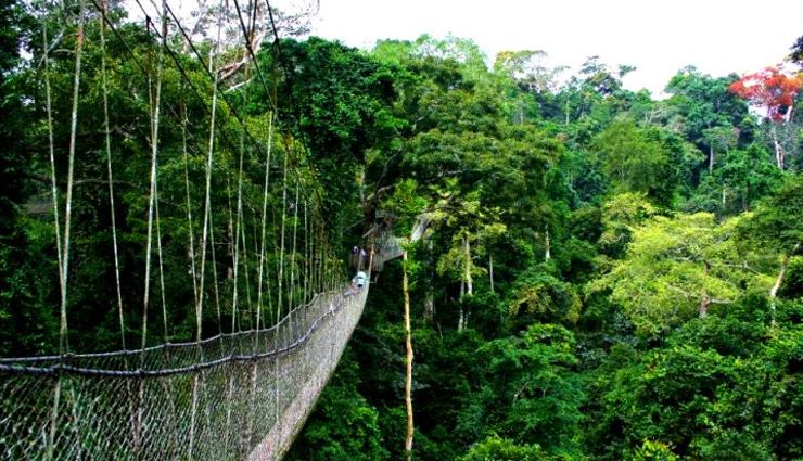 volcanoes national park,karisoke research center,lake kivu,nyungwe national park,twin lakes,places in rwanda,places to visit in rwanda