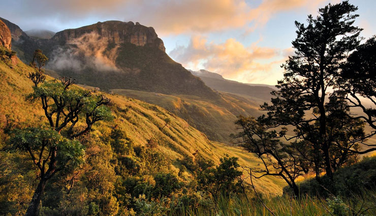 south africa,places for honeymoon in south africa,destinations in south africa,western cape,garden route,eastern cape,kwazulu natal,johannesburg