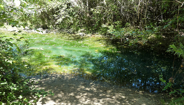 places in the us,places in the us for gold or gemstones,emerald hollow mine,north carolina,marshall gold discovery state historic park,california,mount antero,colorado,randall glen mine,north carolina,crow creek gold mine,alaska,crater of diamonds state park,arkansas