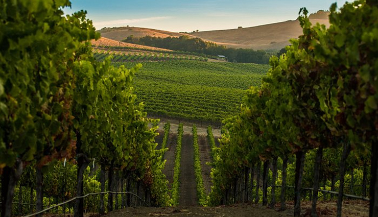 vacation,places for vacation,places for vacation with friends,places to visit with friends,napa valley,california,montreal,canada,nashville,tennessee,reykjavik,iceland,new york city