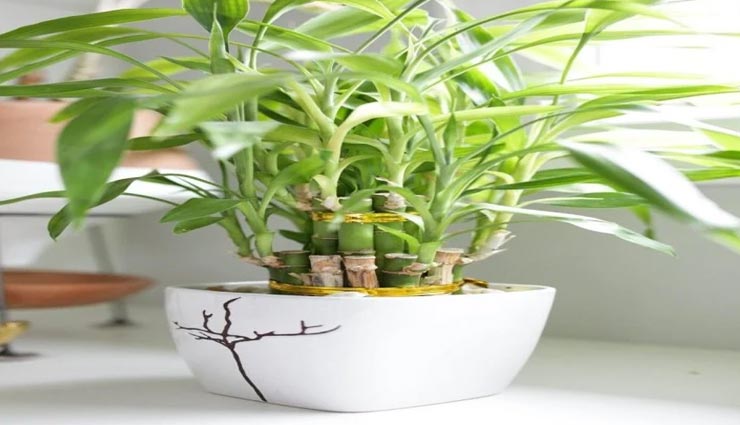 gift ideas,diwali gift ideas,diwali special,diwali 2020