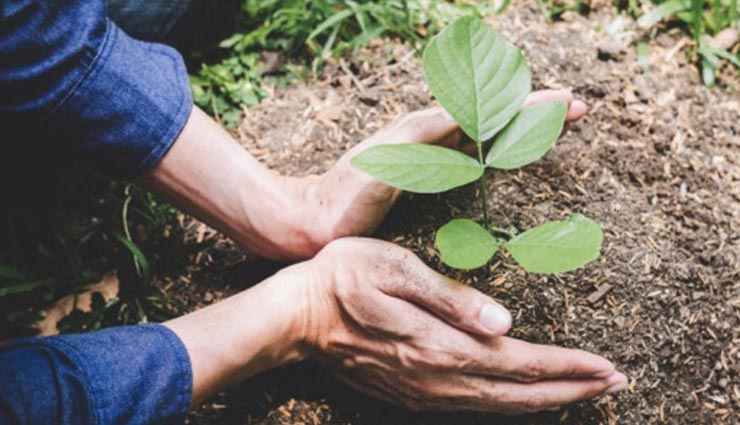 astrology tips,astrology tips in hindi,pitra paksha,shraddha 2021