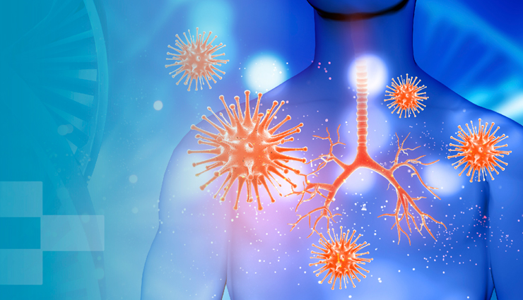 plant based diet,health benefits of plant based diet,Health tips,fitness tips