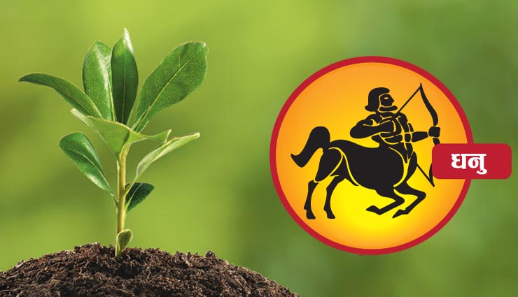 plants,plantation,zodiac sign,household tips ,राशि के अनुसार लगाये ये पौधे