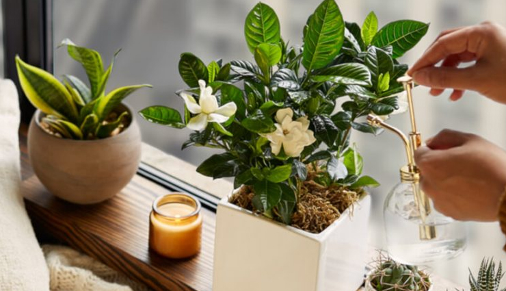 International Women's Day 2023 : ये ट्रेंडी और चुनिंदा चीजें बनेगी इस दिन की परफेक्ट गिफ्ट ऑप्शन international womens day 2023,international womens day gift ideas,relationship tips