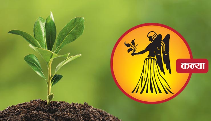 plants,plantation,zodiac sign,household tips