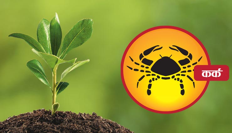 plants,plantation,zodiac sign,household tips