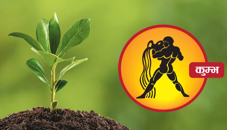 plants,plantation,zodiac sign,household tips