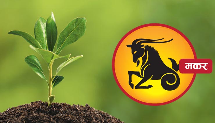 plants,plantation,zodiac sign,household tips