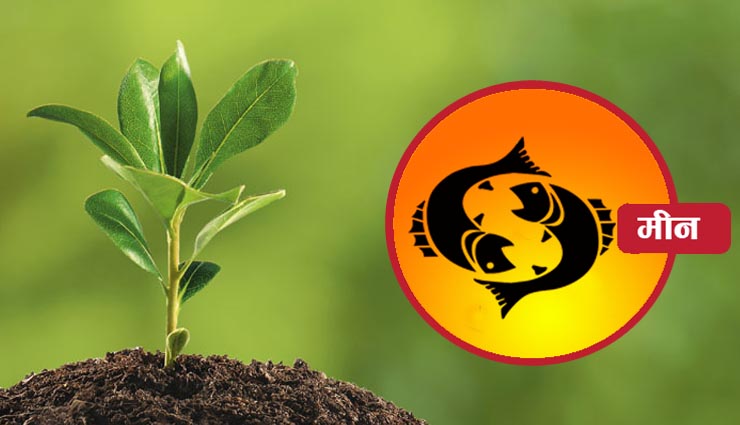 plants,plantation,zodiac sign,household tips