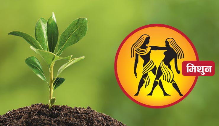 plants,plantation,zodiac sign,household tips