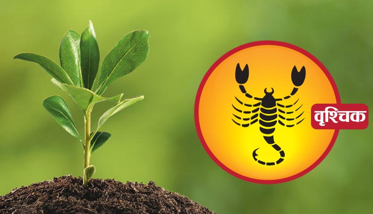 plants,plantation,zodiac sign,household tips