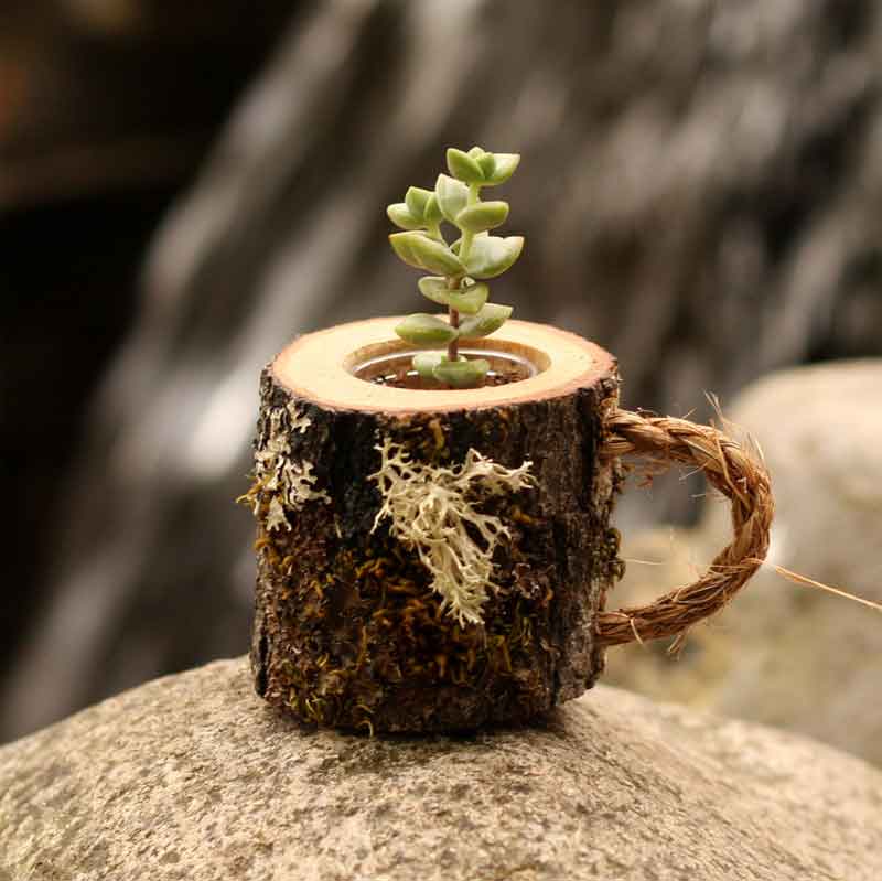 Teachers Day : टीचर को देना है कम बजट में परफेक्ट गिफ्ट, तो ये आइडिया करेंगे आपकी मदद gift ideas,teachers day