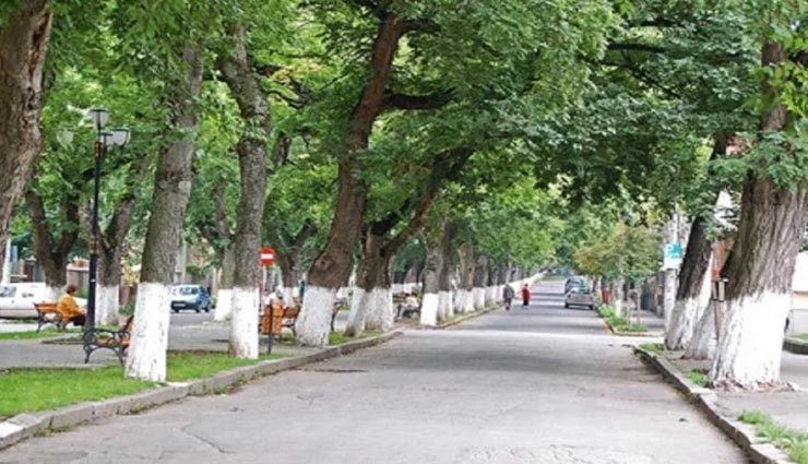 आखिर क्यों की जाती हैं पेड़ों पर सफेद और लाल रंग की पट्टियां, कारण बड़ा हैरान करने वाला