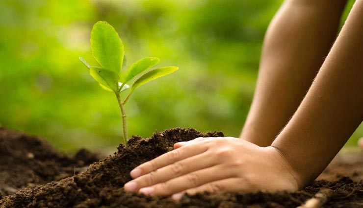 गुजरात की इस यूनिवर्सिटी में मिलता है स्टूडेंट्स को अनोखा दंड, जानकर आपके चहरे पर भी आएगी मुस्कान