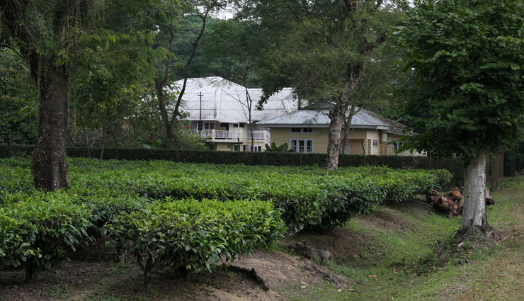 plantation holidays,plantation holidays in india,india,places to visit in india,the serai,chikmagalur,karnataka,windermere estates,munnar,kerala,tenerife hill,coonoor,tamil nadu,aanavilasam luxury plantation,thekkady,kerala