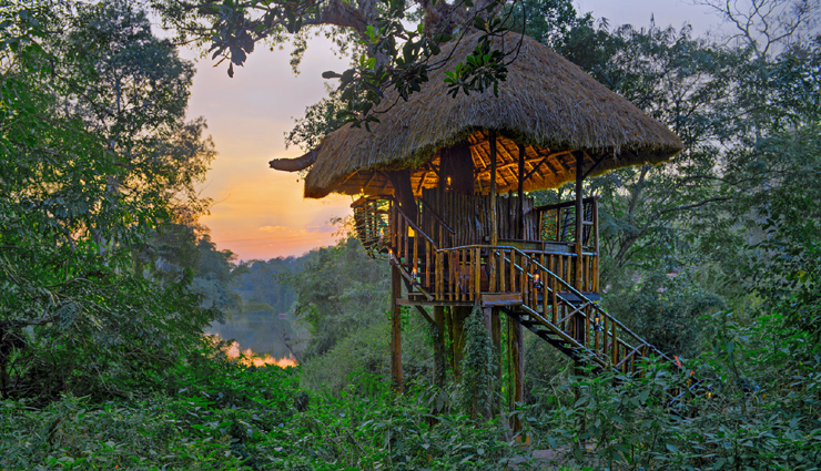 10 Most Favourite Plantation Stays in India