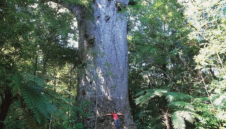 unusual plants worldwide,strange and unique plant species,bizarre plants from around the world,extraordinary global plant life,uncommon flora discoveries,weird and rare botanical wonders,odd plants and trees globally,exotic plant species list,unusual plant habitats,unique botanical wonders