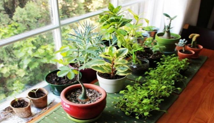 vastu tips,vastu tips in hindi,obstruct in progress