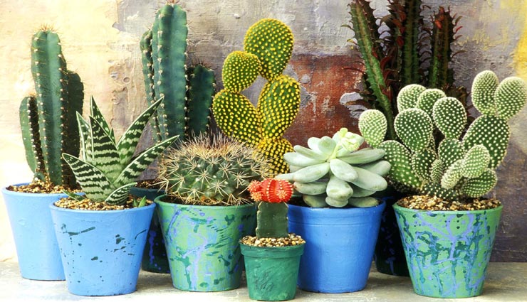 vastu tips,vastu tips in hindi,waste to the house