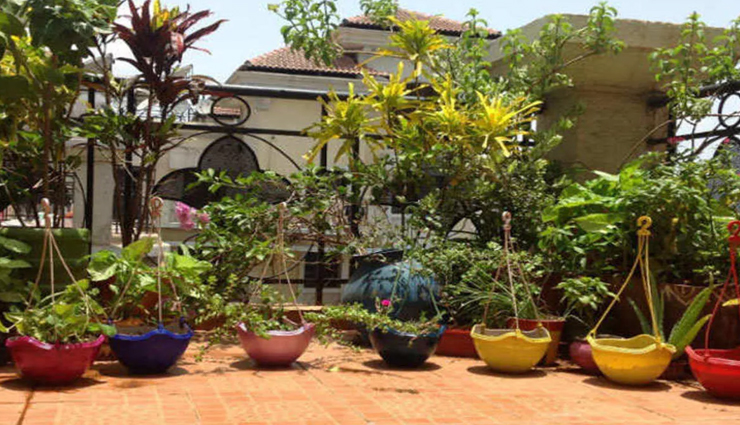 vastu tips,vastu tips in hindi,plants in home,plants vastu