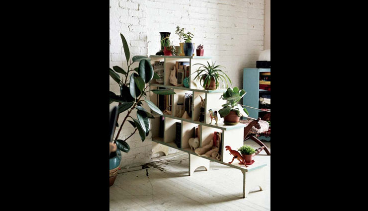 plants friendly,decorating home with plants,plants,indoor plants