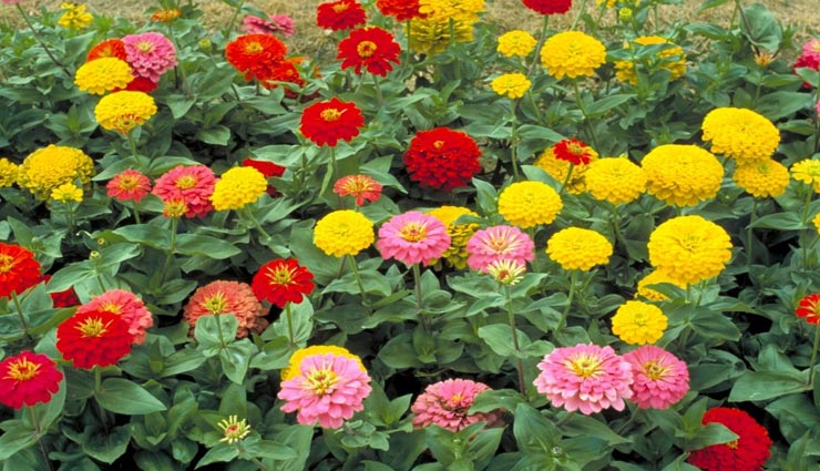 astrology tips,astrology tips in hindi,dreams to improve your luck,dreams indication,dream and luck