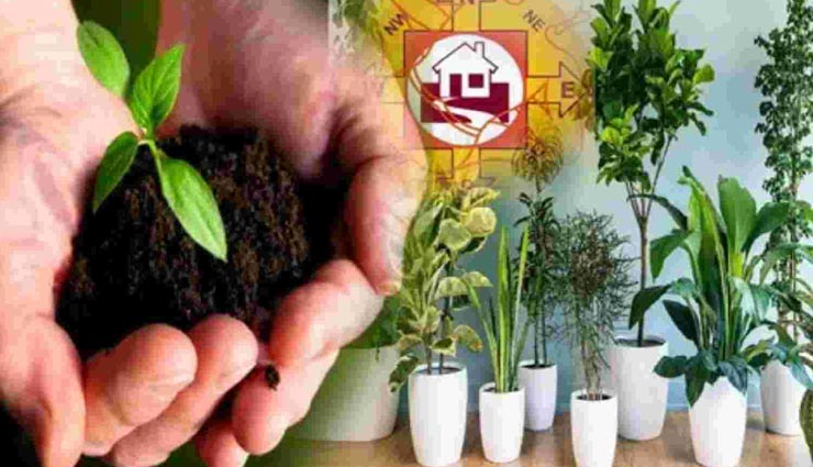 vastu tips,vastu tips in hindi,vastu for happiness