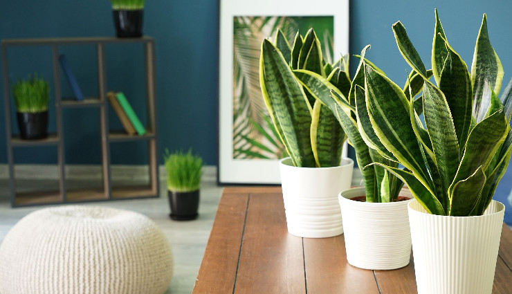 पूर्व PM मनमोहन सिंह इस खतरनाक बीमारी से जूझ रहे थे, सर्दियों में बढ़ जाती है मुश्किल, बचाव के उपाय manmohan singh death cause,age-related health issues,respiratory problems,breathing difficulties,former prime minister of india,aiims delhi,medical bulletin,age-related conditions,sudden loss of consciousness